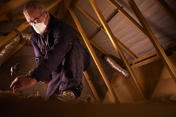 Best Specialty Insulation in Danville, CA
